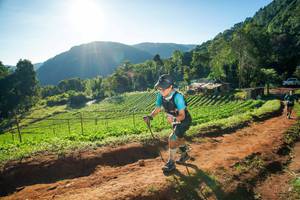 BIB: 
                            <button type="button" onclick="openModal(19176023)" class="btn btn-primary btn-sm float-right btn-popup" data-toggle="modal" data-target=".modal-high-quality">
                        <i class="fas fa-shopping-cart"></i> Add to Cart
                    </button>
                                            <button type="button" onclick="isThisMe(19176023, true)" class="btn btn-success btn-sm float-right btn-popup btn-isme hidden" data-toggle="tooltip" data-placement="bottom" title="นี่คือรูปของคุณใช่ไหม คลิกที่นี่เพื่อเอาเข้าอัลบั้ม">
                        <i class="fas fa-plus"></i> Add to album
                    </button>
                    <button type="button" onclick="isThisMe(19176023, false)" class="btn btn-warning btn-sm float-right btn-popup btn-isnotme hidden">
                        <i class="fas fa-ban"></i> Remove from album
                    </button>